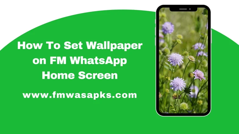 How To Set Wallpaper on FM WhatsApp Home Screen